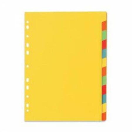 LION KARTON DIVIDER 12-TABS