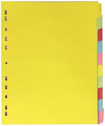 LION KARTON DIVIDER 10-TABS