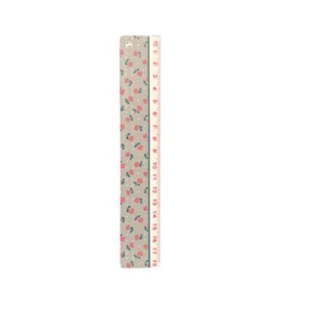 PLASTIC RULER 18CM Young Fashion