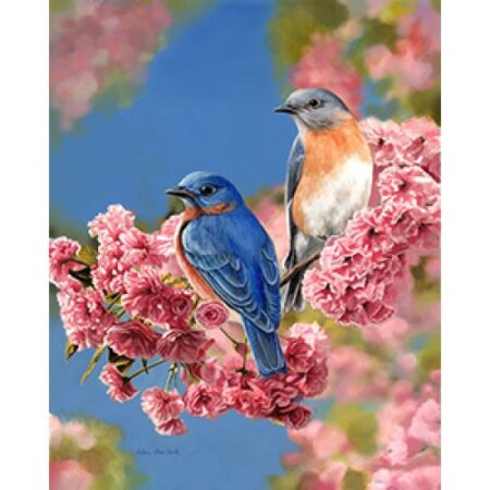 Paint by numbers Figured'Art Bluebirds 40x50cm Already Framed